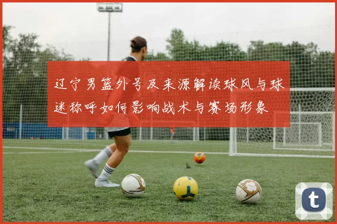 辽宁男篮外号及来源解读球风与球迷称呼如何影响战术与赛场形象