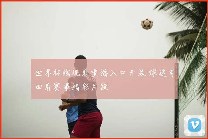 世界杯线观看重播入口开放 球迷可回看赛事精彩片段